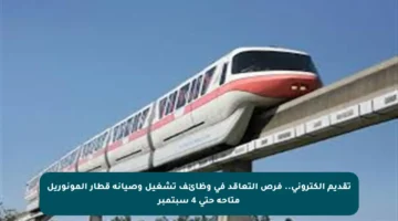 تقديم إلكتروني.. فرص التعاقد في وظائف تشغيل وصيانة قطار المونوريل متاحة حتى 4 سبتمبر